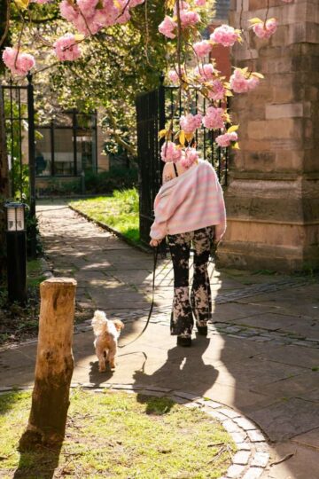 Dog Walker in church yard