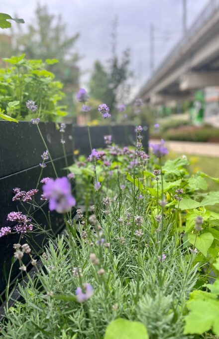 5262858f8f2a5492580fa7893ac3da8c129c8905 1512x2016 w2400q80fitclipautoformat