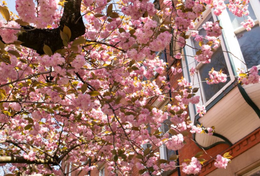 6bfc08bacf465d46abacdf62a2924268c6e54d0c 940x788 w2400q80fitclipautoformat